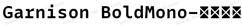 Garnison BoldMono字体转换